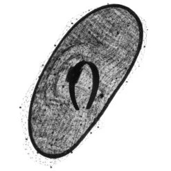 Veana Sinamay Fascinator By McBURN -Seeberger || Stetson Verkaufsgeschäft Veana Sinamay Fascinator by McBURN schwarz.62024 6rf4