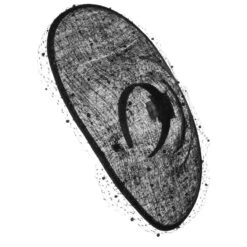 Veana Sinamay Fascinator By McBURN -Seeberger || Stetson Verkaufsgeschäft Veana Sinamay Fascinator by McBURN schwarz.62024 7rf4