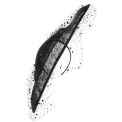 Veana Sinamay Fascinator By McBURN -Seeberger || Stetson Verkaufsgeschäft Veana Sinamay Fascinator by McBURN schwarz.62024 rf4